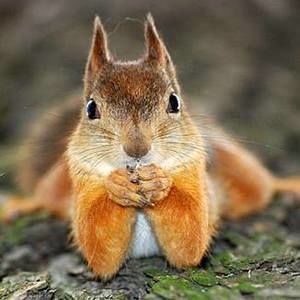 Meet your Posher, Sue